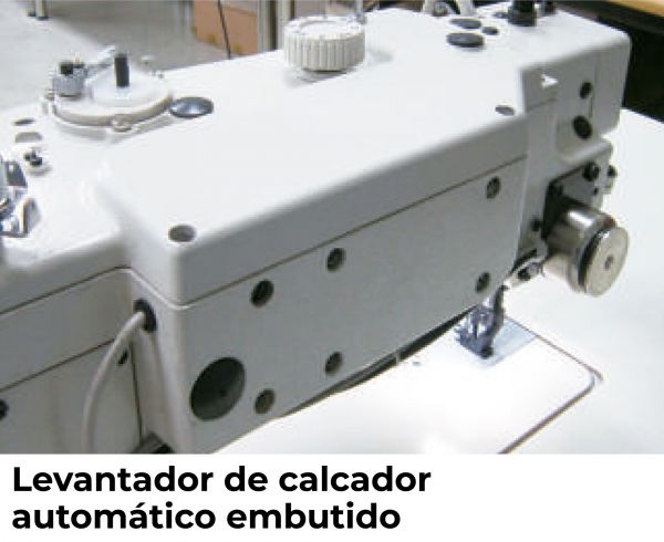 Máquina Reta com Motor Direct Drive e Transporte Duplo