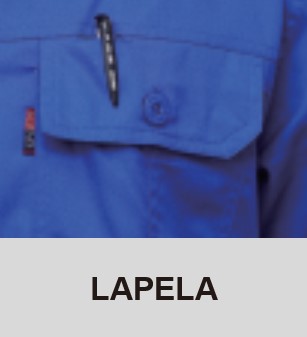 Lapela